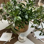 Zenit Hotel Valencia